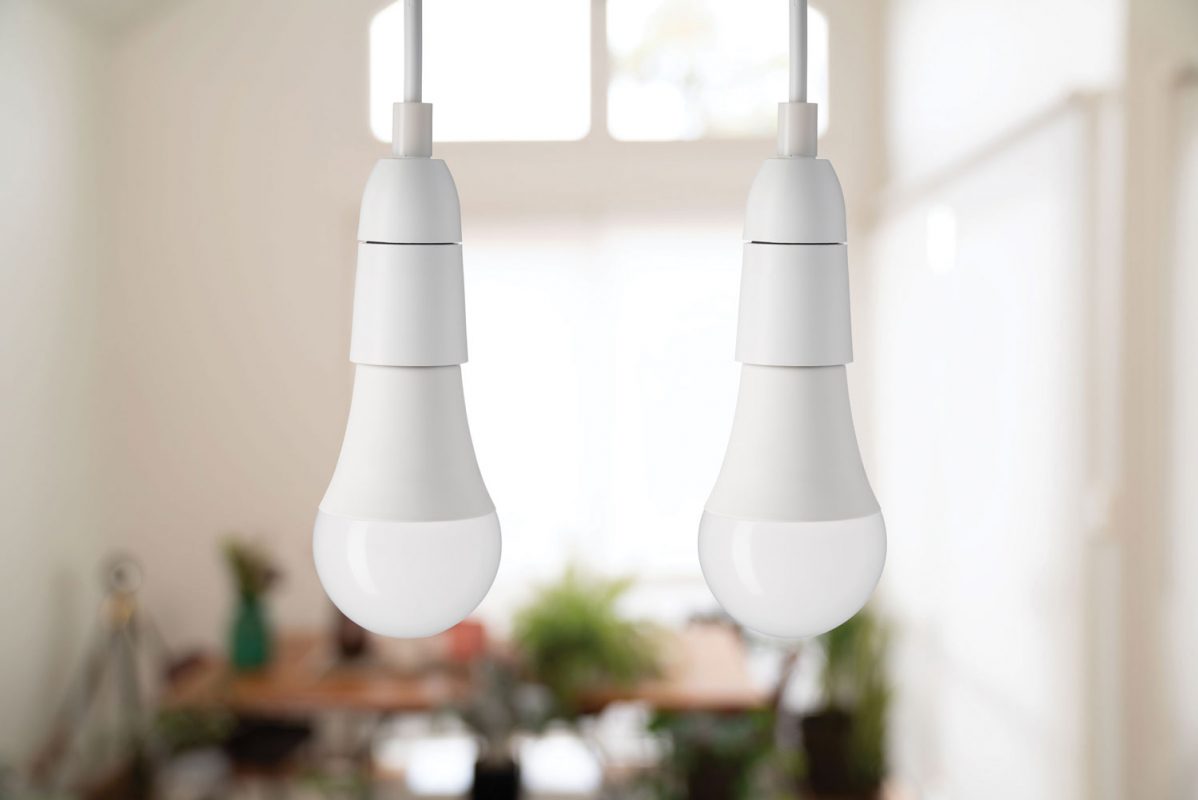 190620-CocoonConnect-154-1